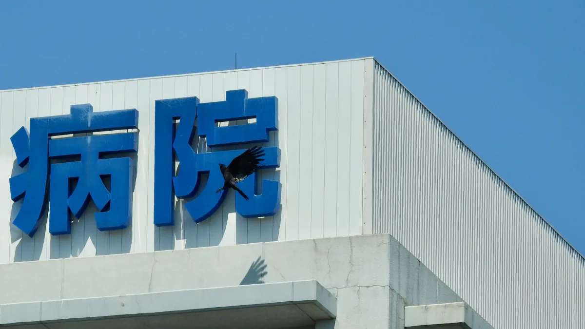 MS法人を設立するタイミング
